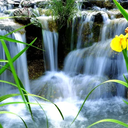 Aquafalls Nature Hotel-2